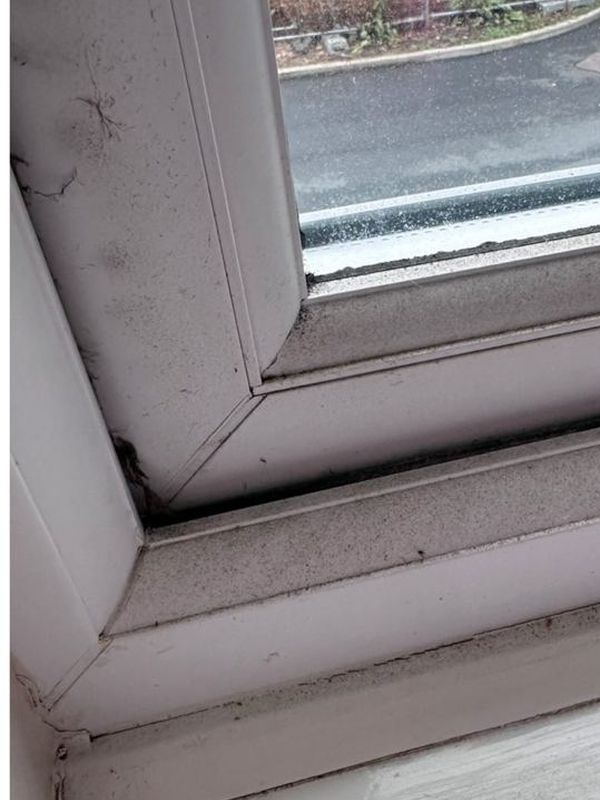 Before: the uPVC window frame marked with mould and grime